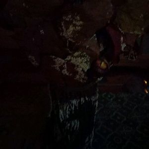 Meet your Posher, Kellie